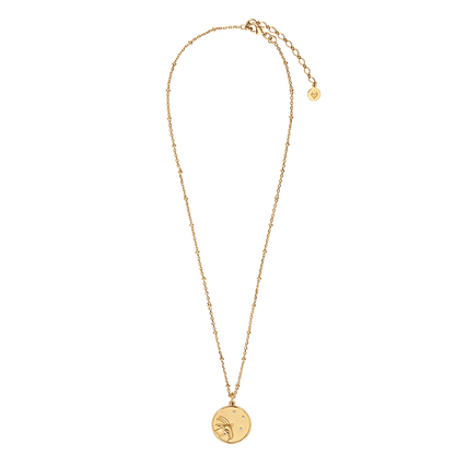 Médaille du Zodiaque CAPRICORNE plaquée or