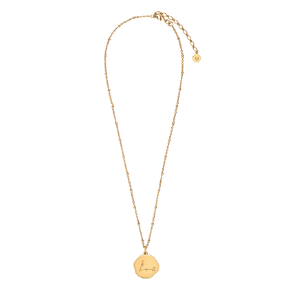 Médaille constellation POISSONS plaquée or