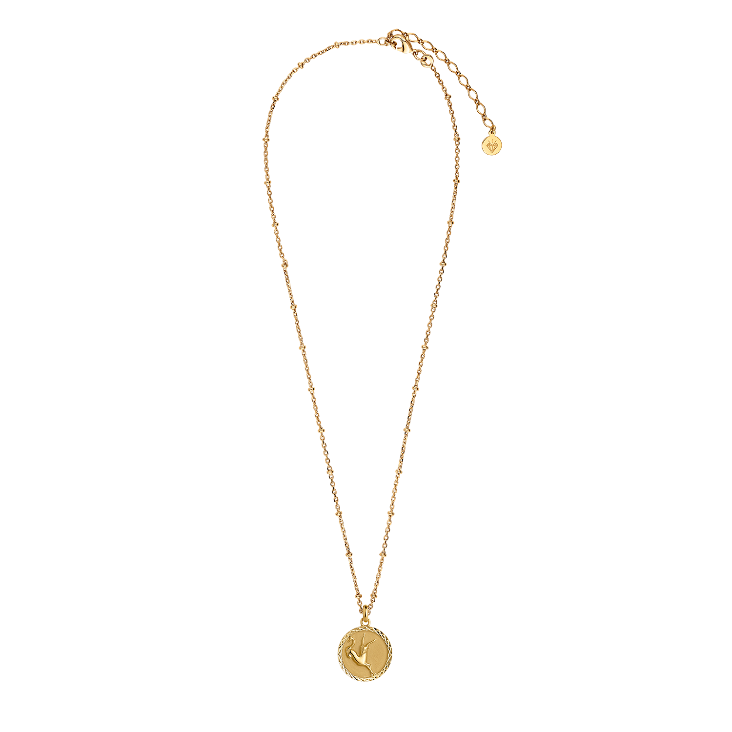 Medalha de zodíaco CAPRICORNIO banhada a ouro