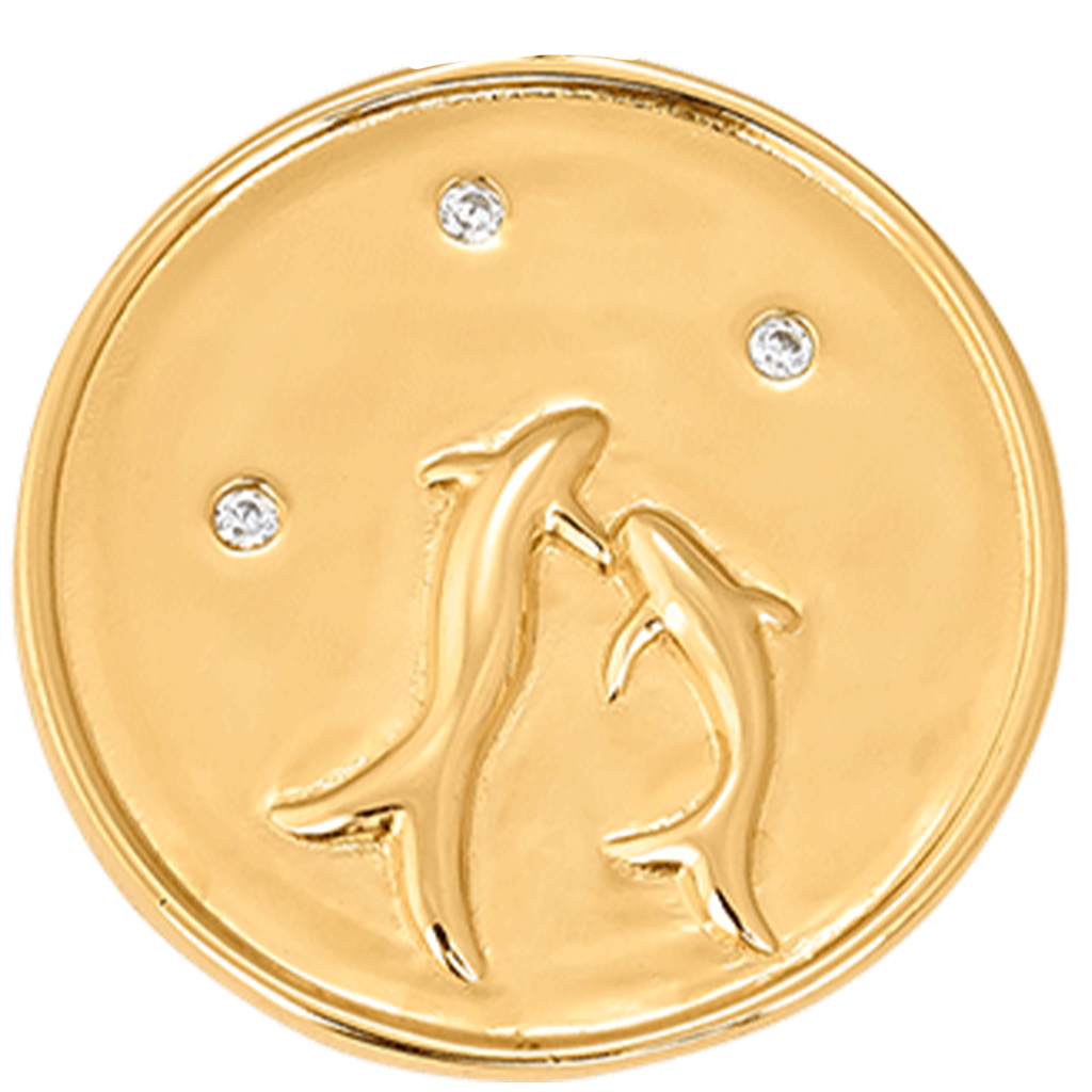 ZODIAC MEDAL AND EXTRA CONSTELLATIONS